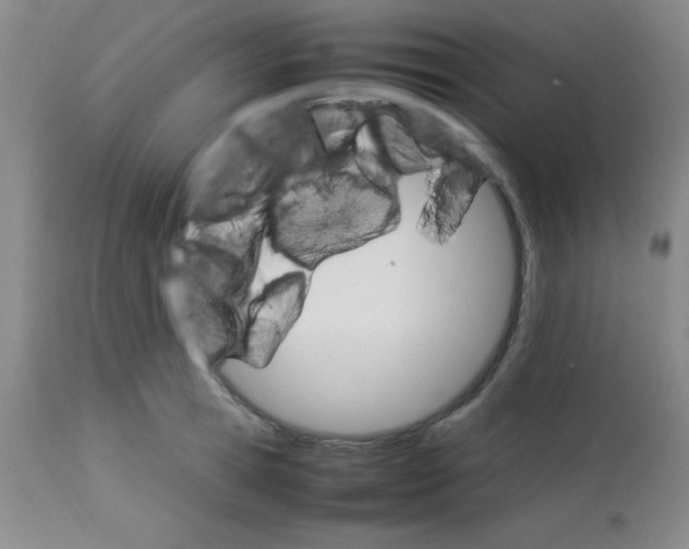 X0000113750945200910211143