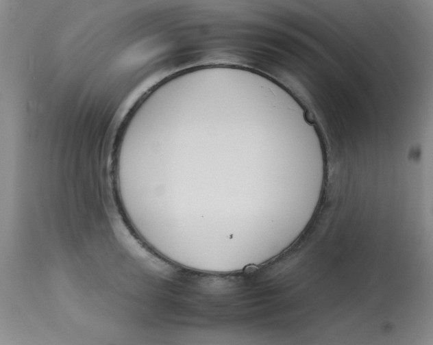 X0000113750947200910211143