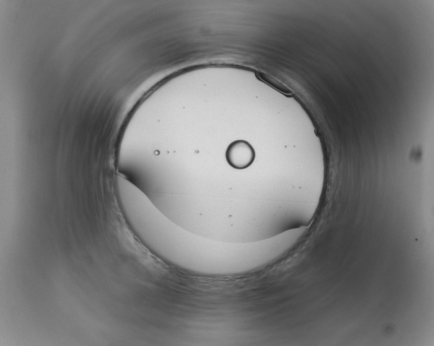 X0000113750948200910211143