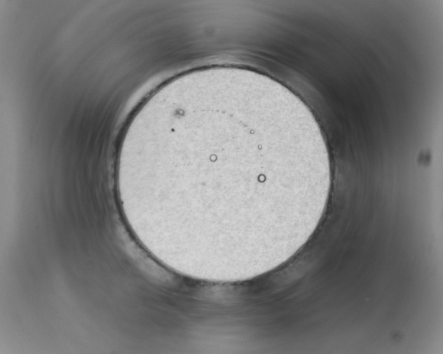 X0000113750950200910211144