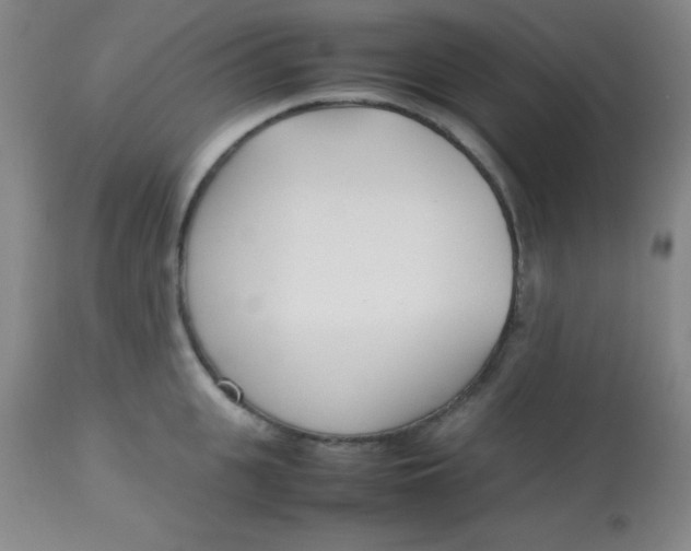 X0000113750951200910211144