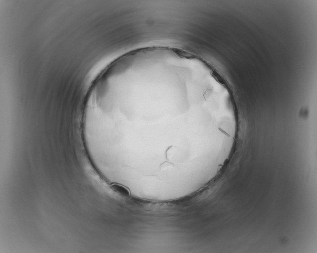 X0000113750952200910211144