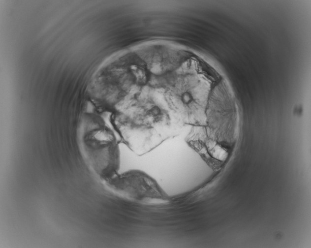 X0000113750953200910211144