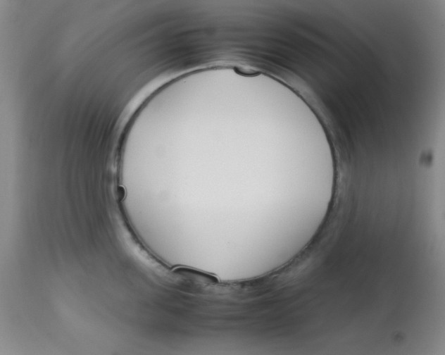 X0000113750955200910211144