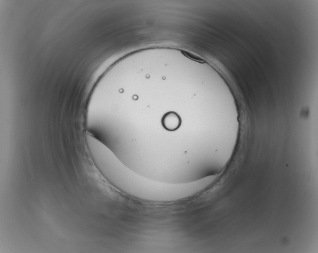 X0000113750956200910211144