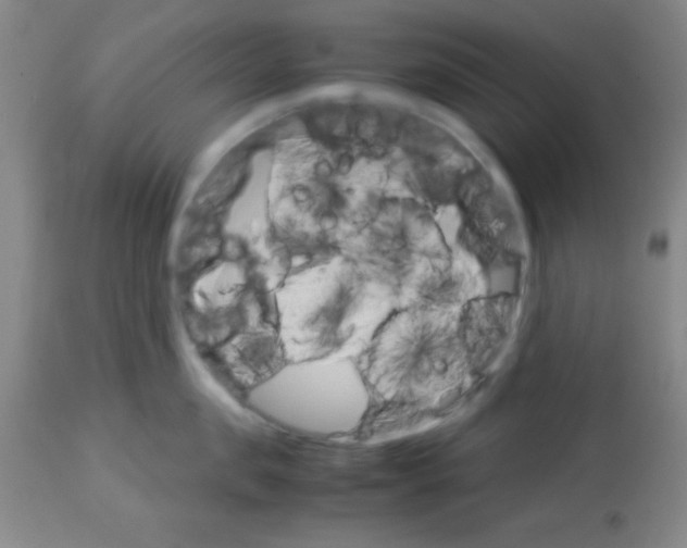 X0000113750957200910211144