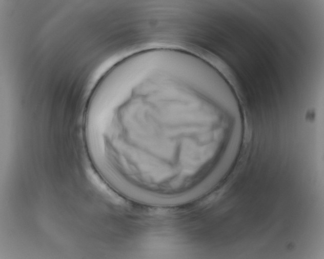 X0000113750958200910211144