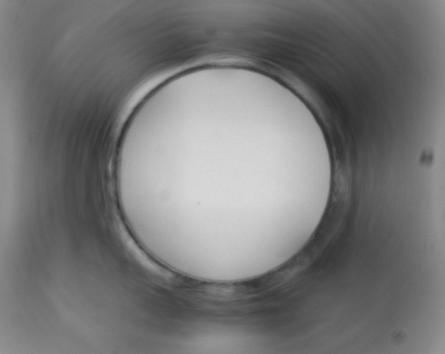 X0000113750959200910211144