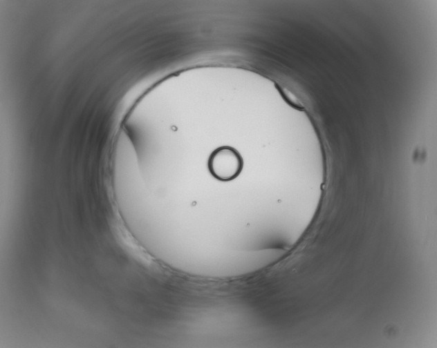 X0000113750960200910211144