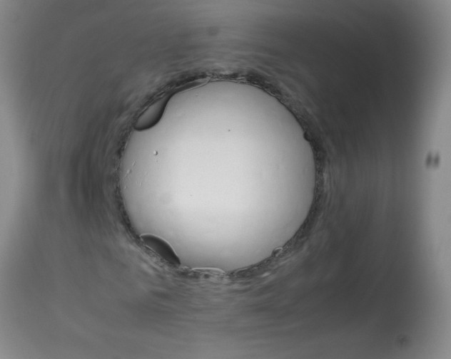 X0000113750961200910211143