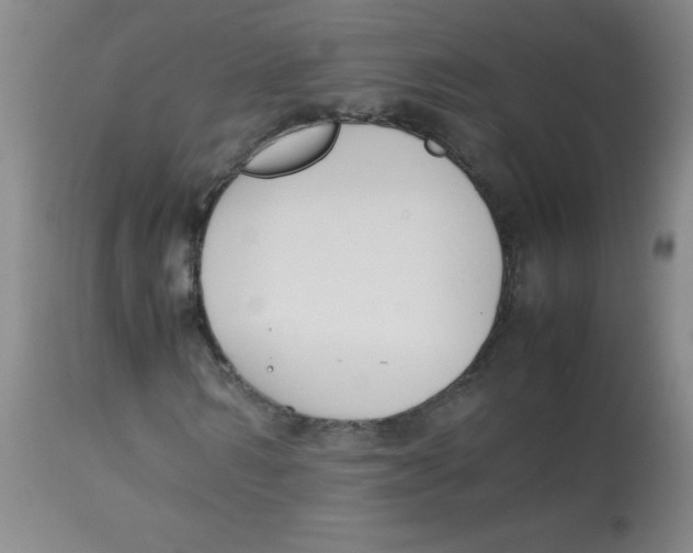 X0000113750962200910211143