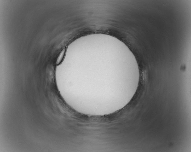 X0000113750963200910211143