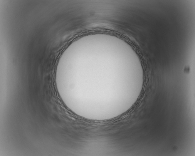 X0000113750965200910211143