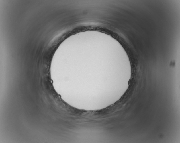 X0000113750967200910211143