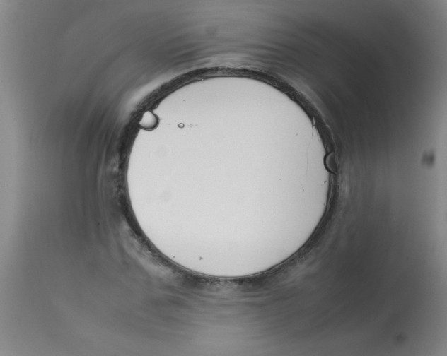 X0000113750971200910211143