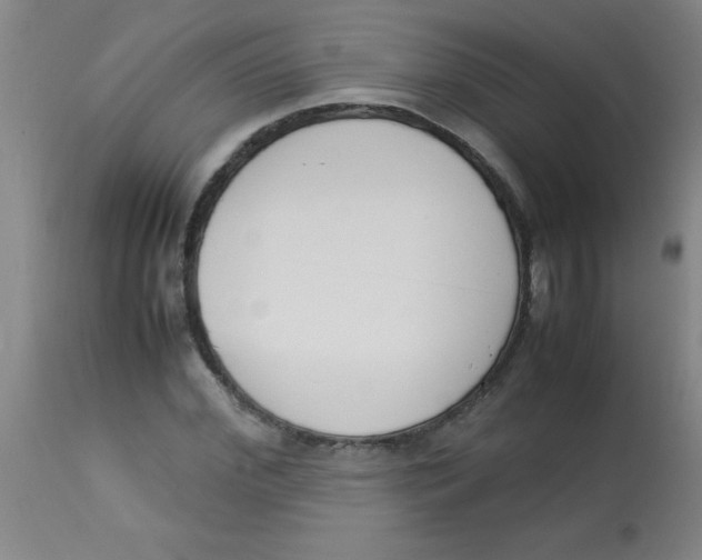 X0000113750972200910211143