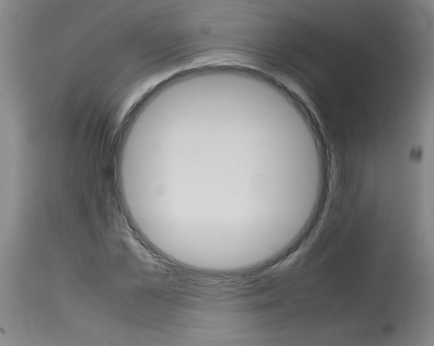 X0000113750973200910211143