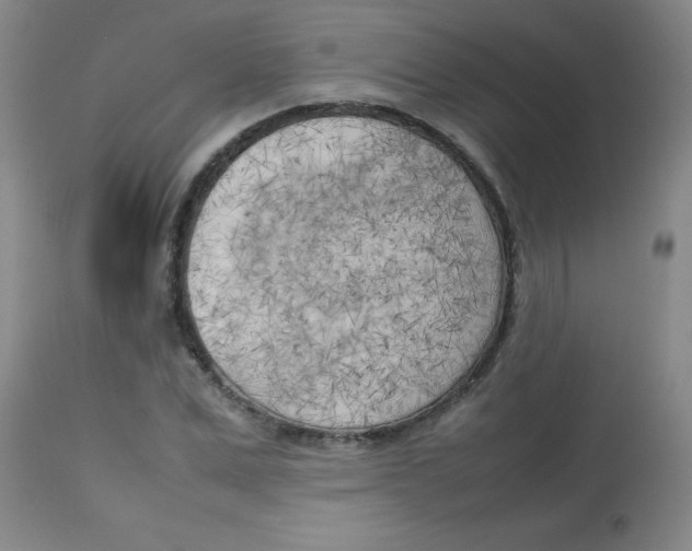 X0000113750975200910211143