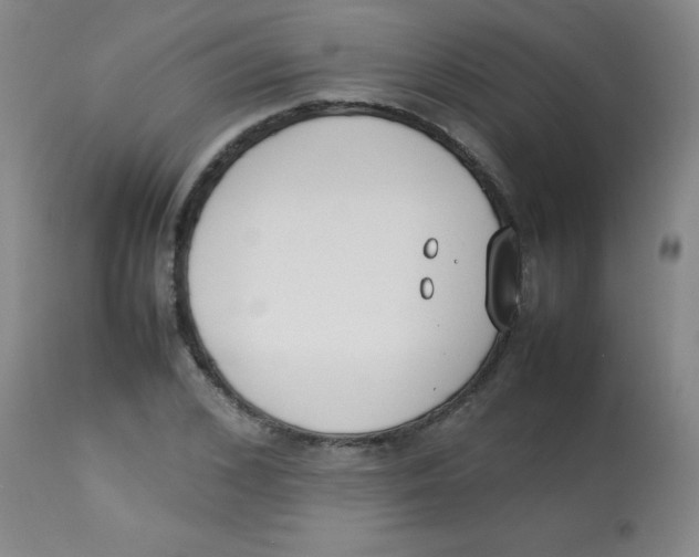 X0000113750976200910211143