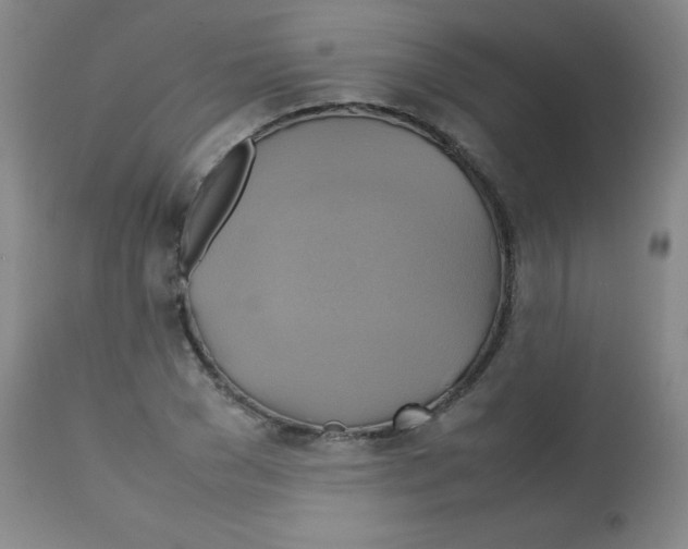 X0000113750977200910211143