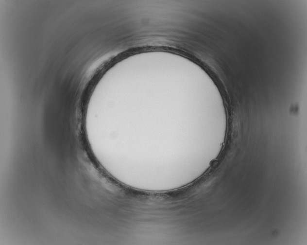 X0000113750979200910211143