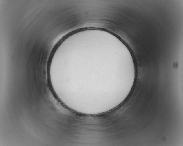 X0000113750980200910211143