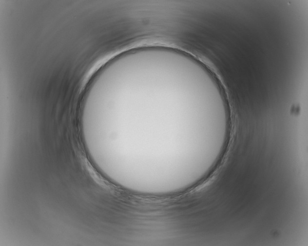 X0000113750981200910211143