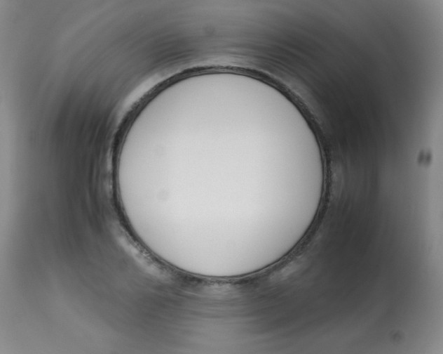 X0000113750982200910211143