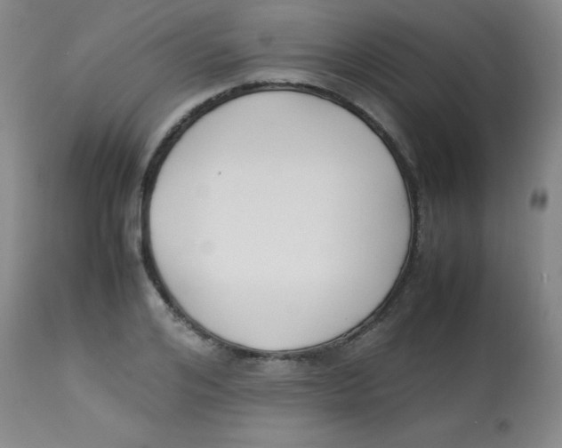 X0000113750984200910211143