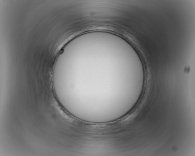 X0000113750985200910211142