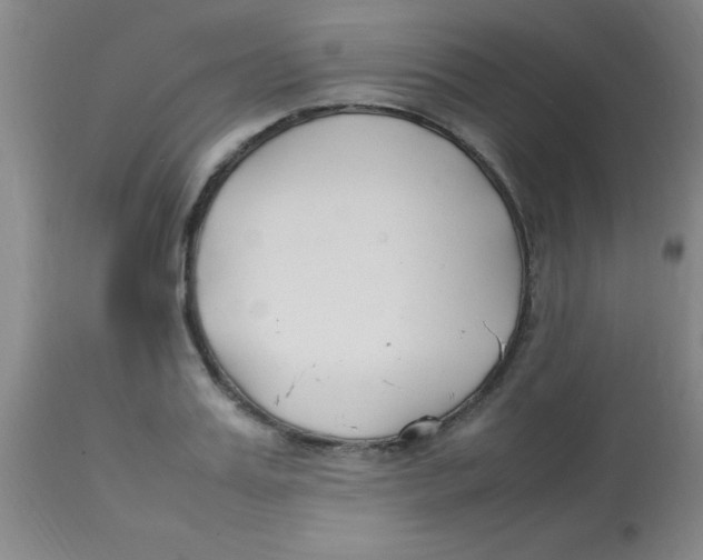 X0000113750987200910211142