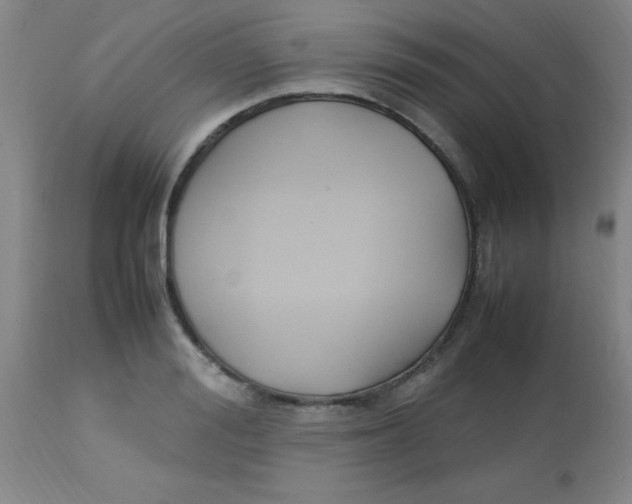 X0000113750988200910211142