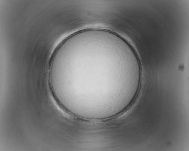 X0000113750989200910211142