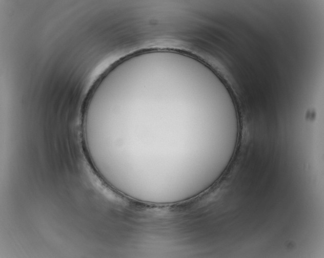 X0000113750990200910211142