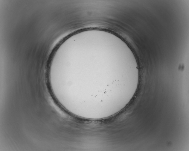 X0000113750991200910211142