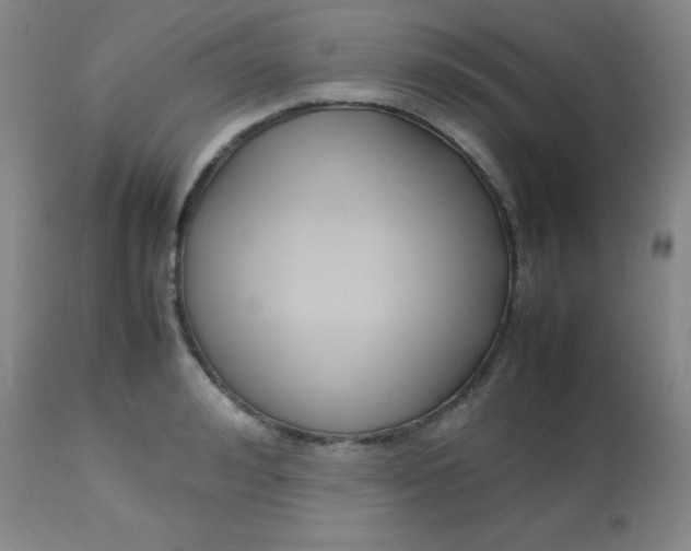 X0000113750992200910211142