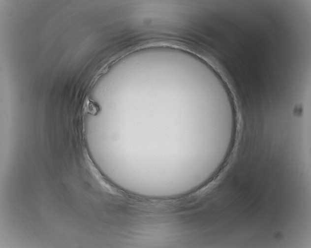 X0000113750993200910211142