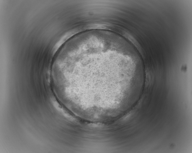 X0000113750994200910211142