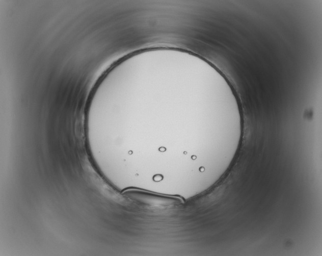 X0000113750996200910211142