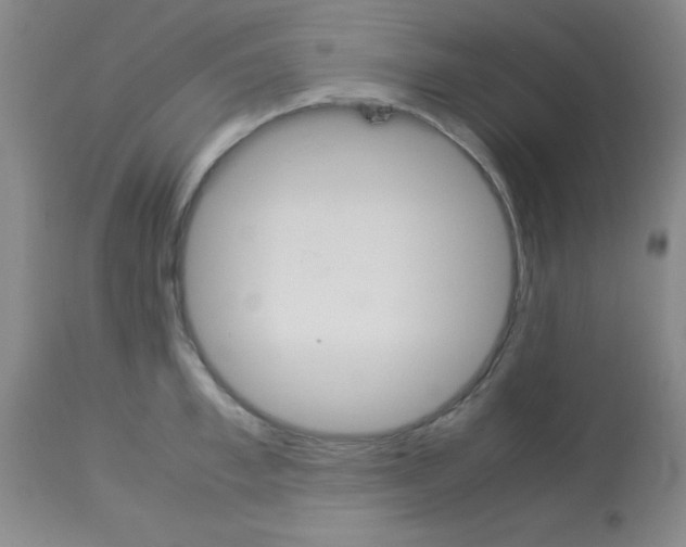 X0000113750997200910211142