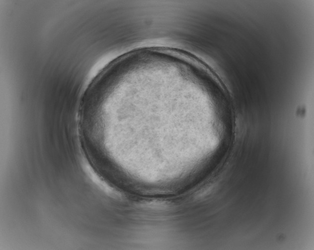 X0000113750998200910211142