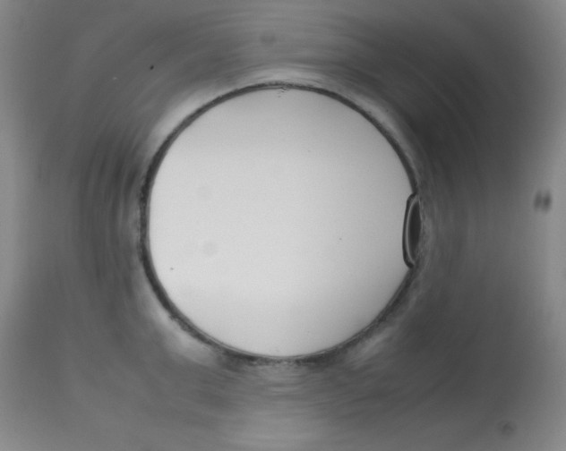 X0000113750999200910211142