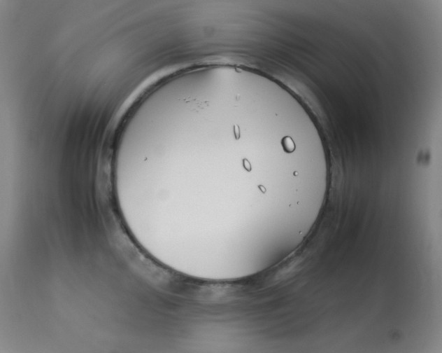 X0000113751000200910211142