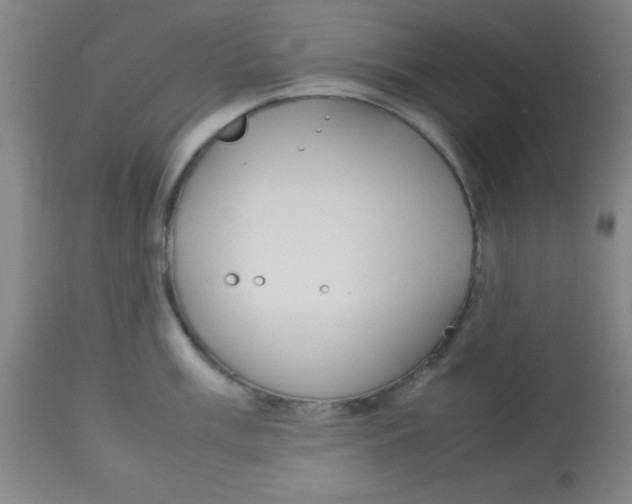 X0000113751003200910211142