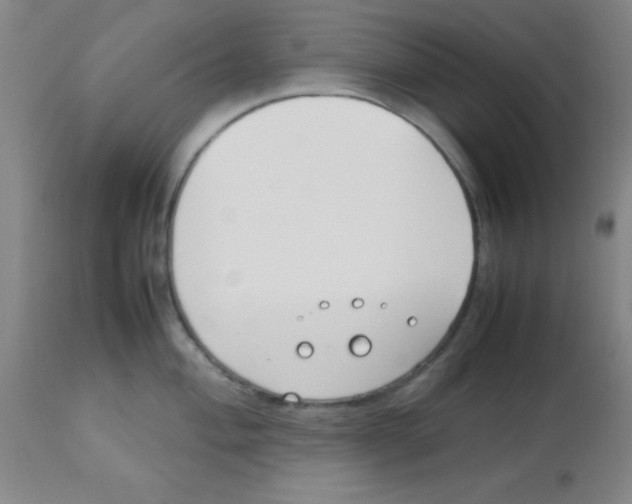 X0000113751004200910211142