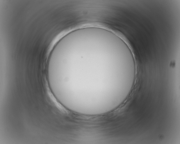 X0000113751005200910211142