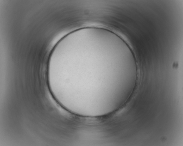 X0000113751007200910211142