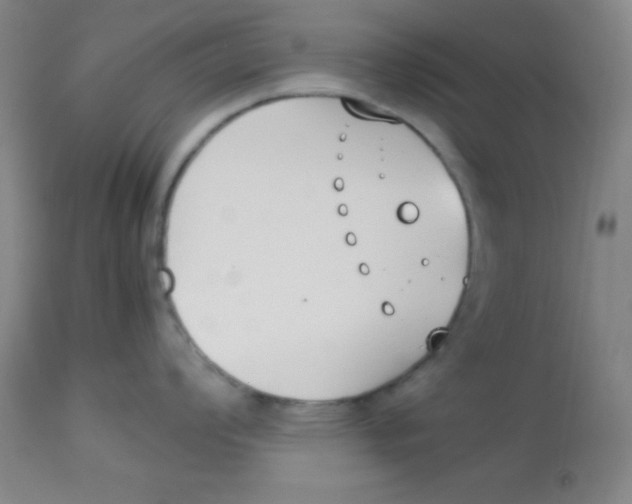 X0000113751008200910211142