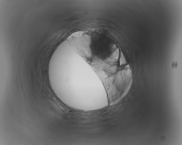 X0000113751009200910211142