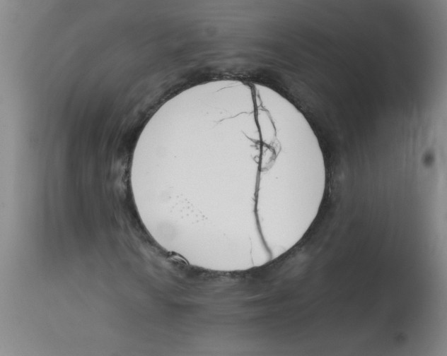 X0000113751010200910211142